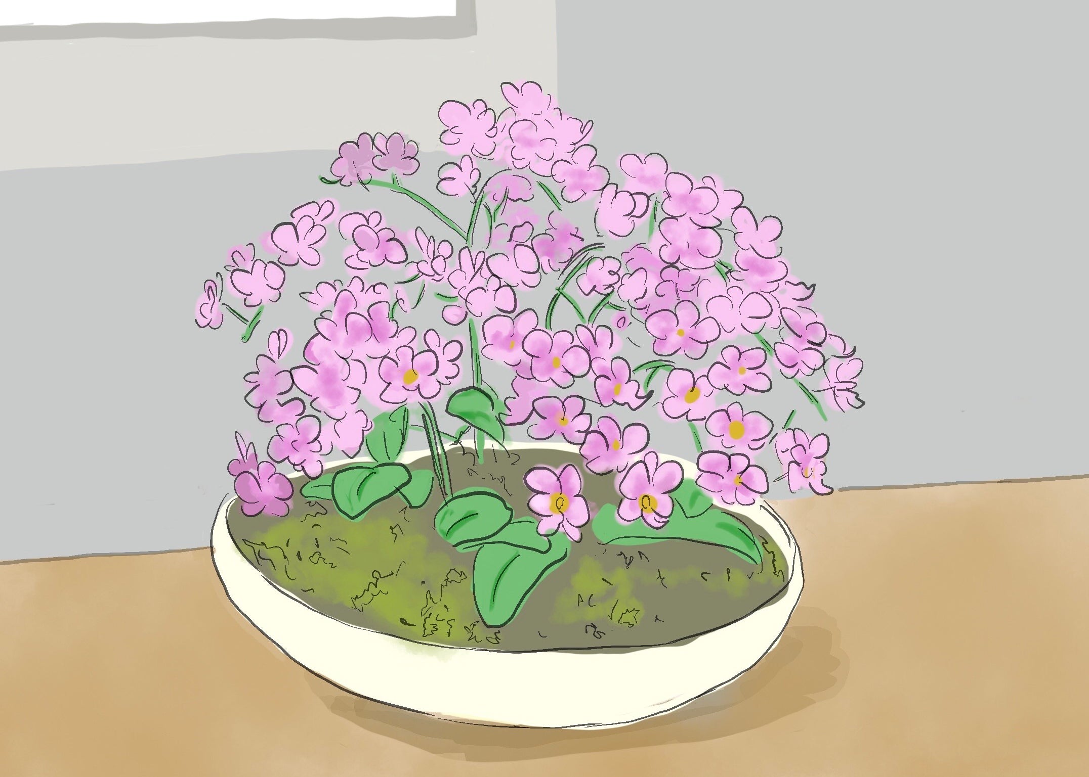 BoardExport_4270362075.jpg?v=