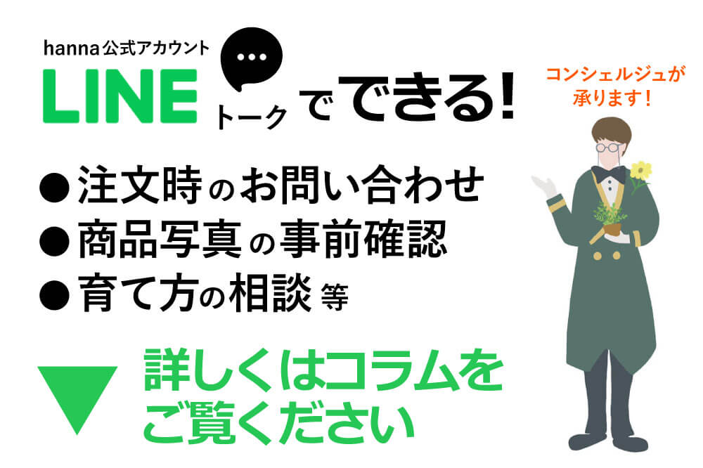 LINE でお問い合わせ」がとっても便利！ – hanna