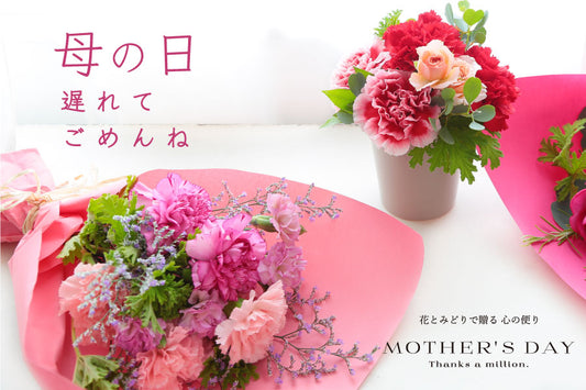 【母の日遅れてごめんね】ギフトをご用意しました!/2023