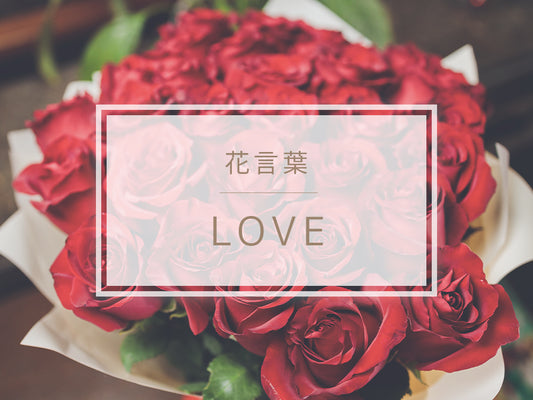 「ＬＯＶＥ」の花言葉を持つ花