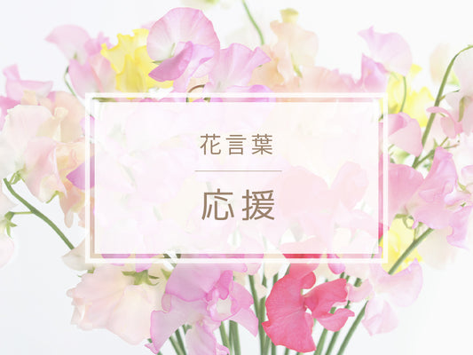 「応援」の花言葉を持つ花