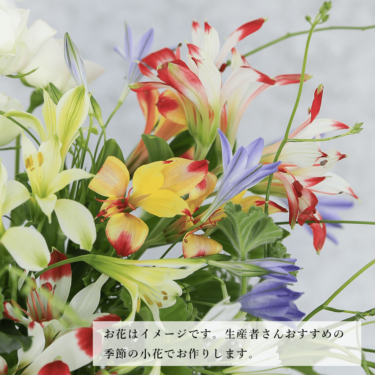 Limited-time offer: 2024 Zodiac Birthday Bouquet / Cancer / Large Size, supervised by astrology writer Saya