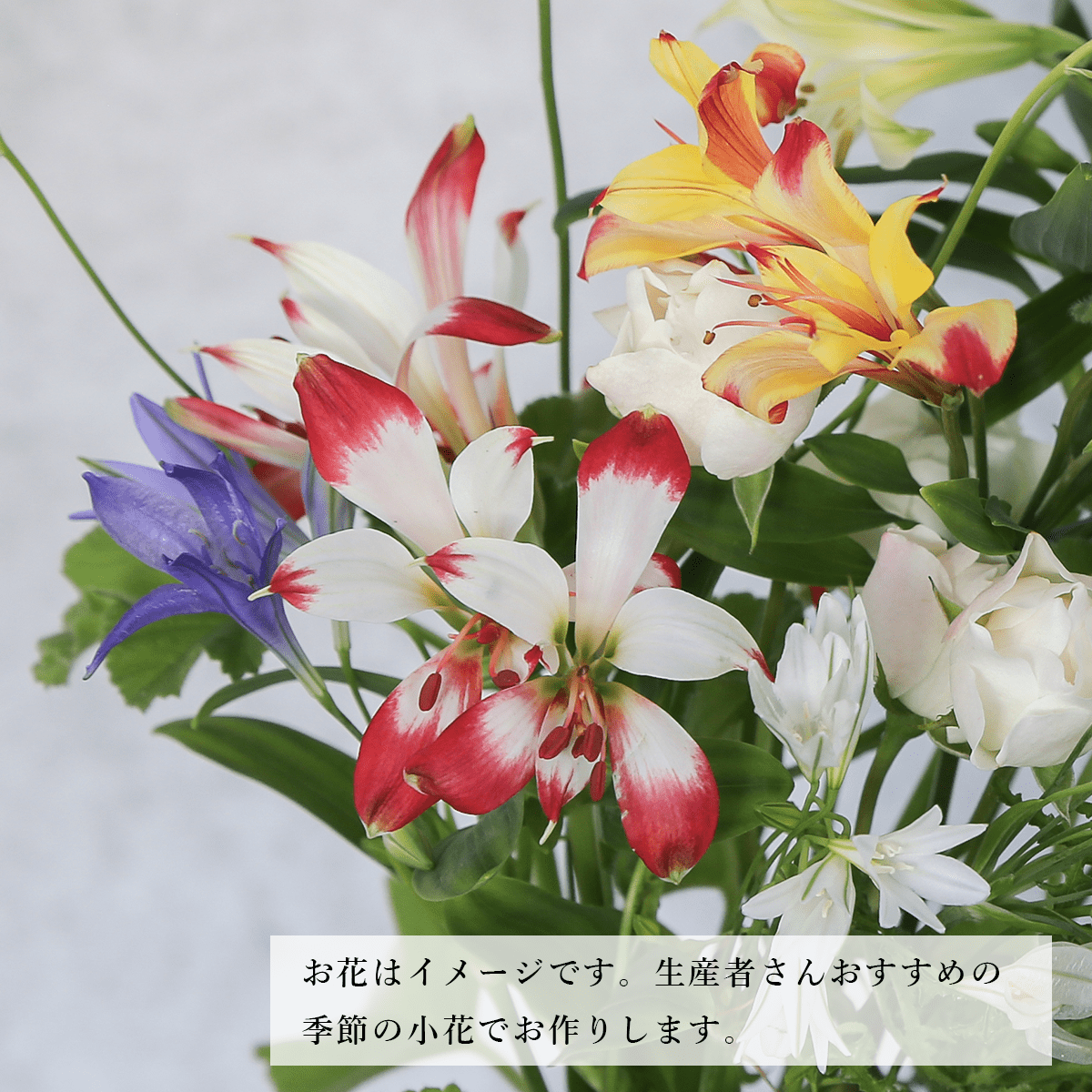 Limited-time offer: 2024 Zodiac Birthday Bouquet / Cancer / Small Size, supervised by astrology writer Saya