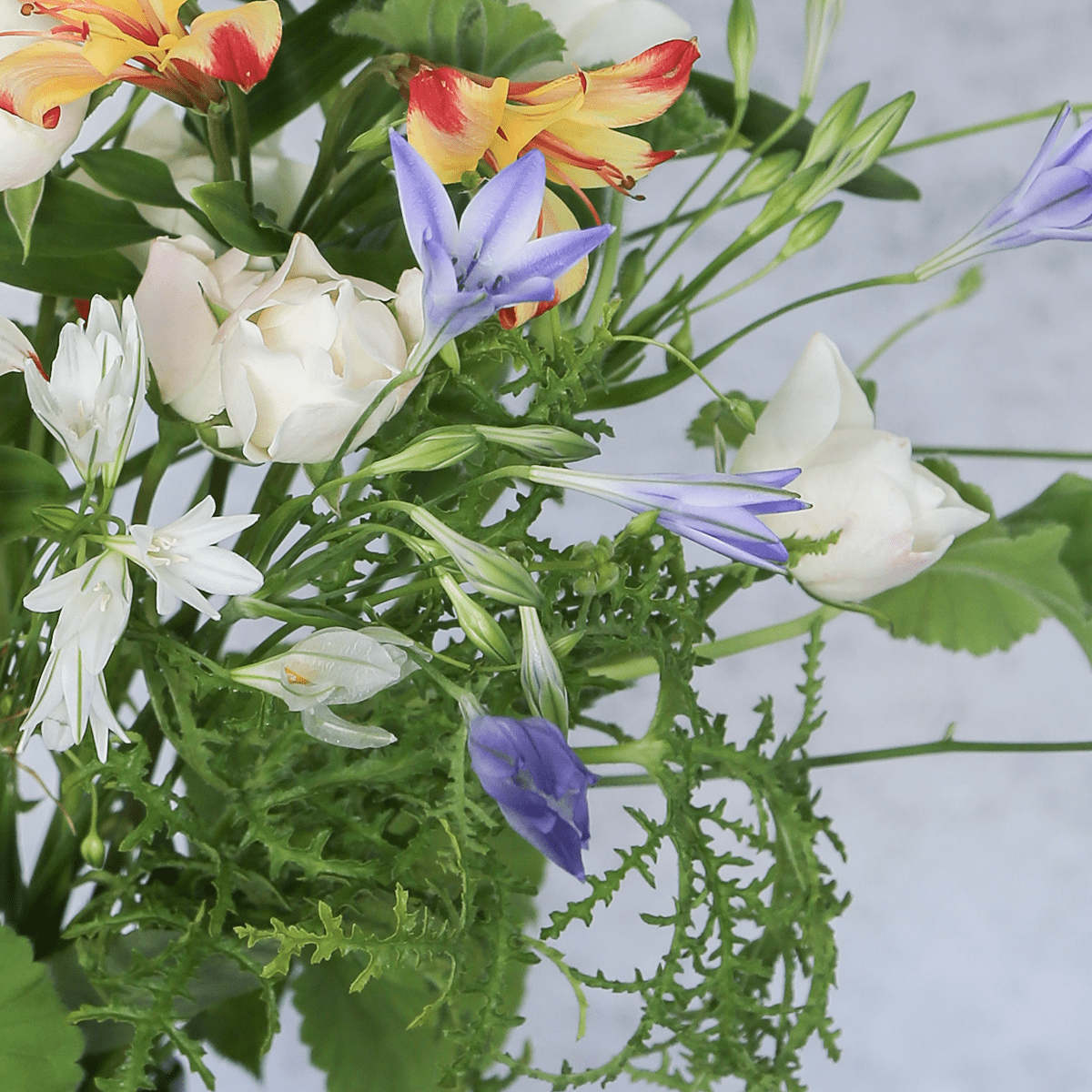 Limited-time offer: 2024 Zodiac Birthday Bouquet / Cancer / Small Size, supervised by astrology writer Saya