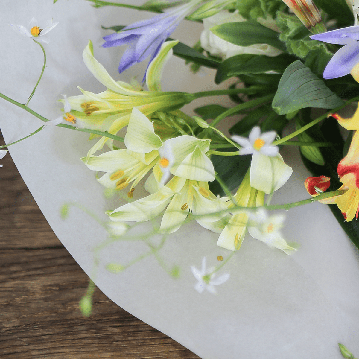 Limited-time offer: 2024 Zodiac Birthday Bouquet / Cancer / Small Size, supervised by astrology writer Saya