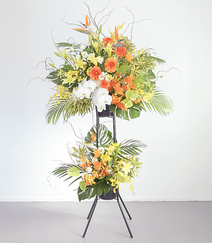Stand Flower D