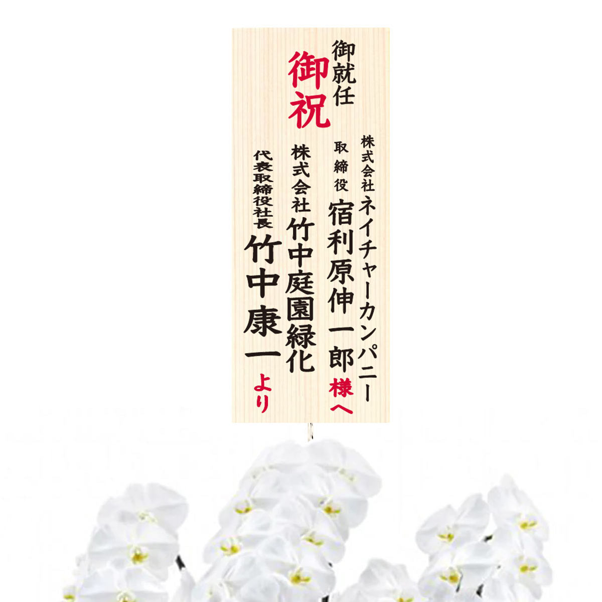 【大輪胡蝶蘭】WEB限定|白3本立ち36輪前後