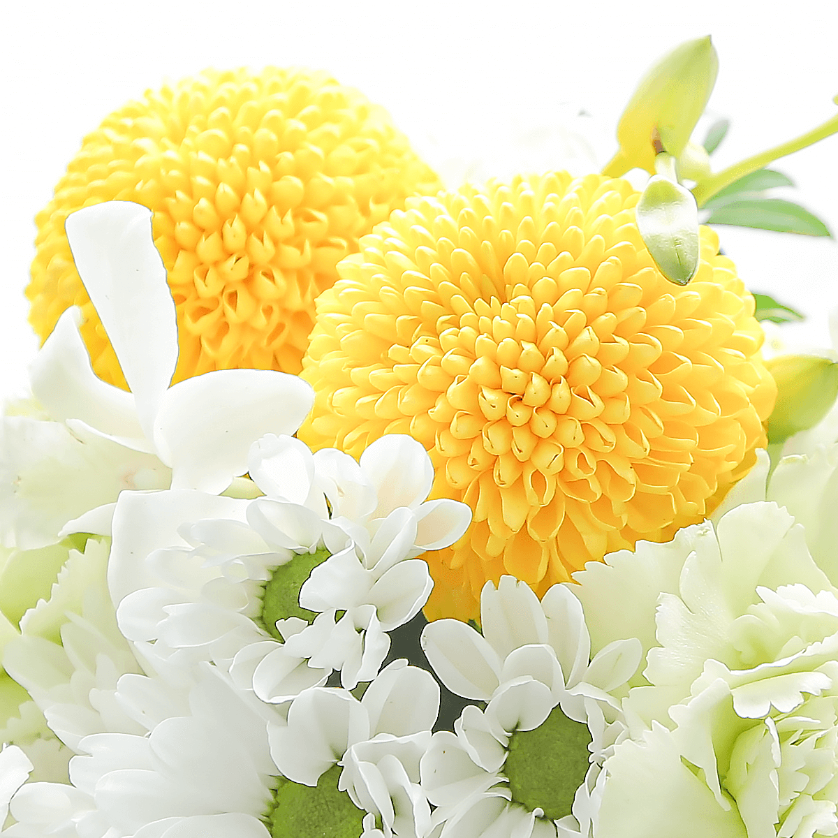 【お供え花・仏花】花瓶要らずでそのまま飾れるアレンジメント「メモワール ホワイトグリーン」。ペットのお供えのお花にもオススメ。花屋の通販|大阪の花屋03