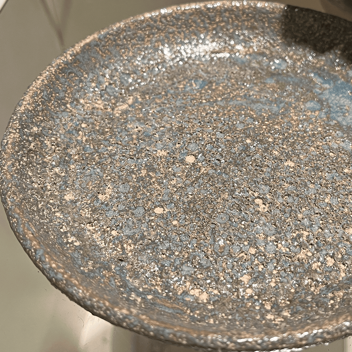 【パキポディウム・バロニー】観葉植物(陶器製鉢付き)