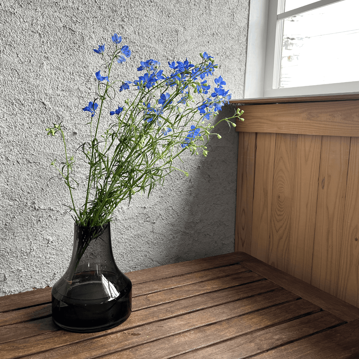 【バイヤーのオススメ】WEB限定|デルフィニウムの切花 (青色)