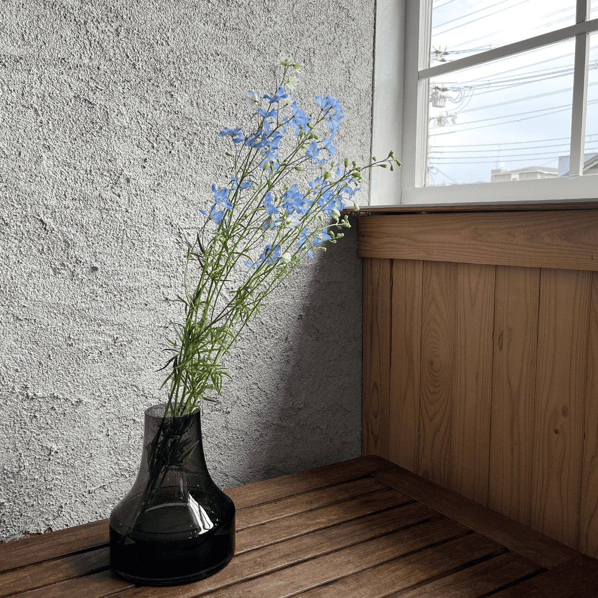 【バイヤーのオススメ】WEB限定|デルフィニウムの切花 (水色)