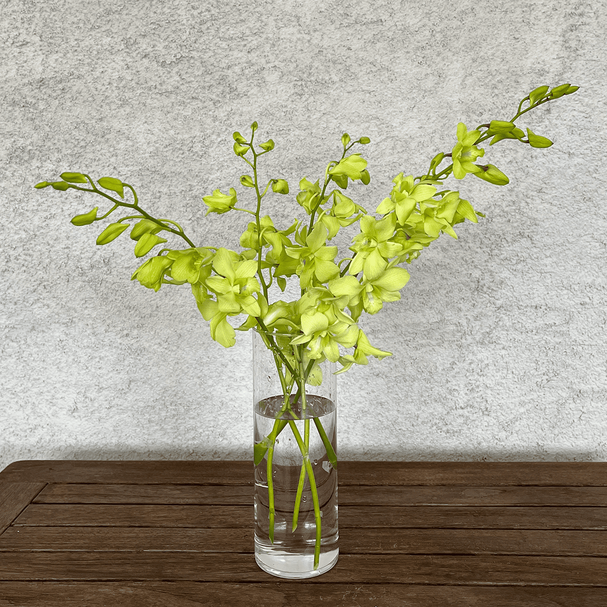WEB EXCLUSIVE | Buyer's Whimsical Sale! Gerbera Bouquet (30 stems)