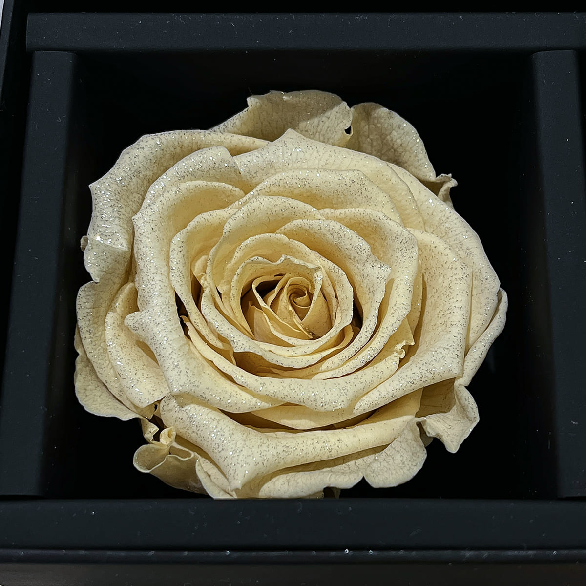 【プリザーブドフラワー】AMOROSA DIAMOND ROSE 全3色