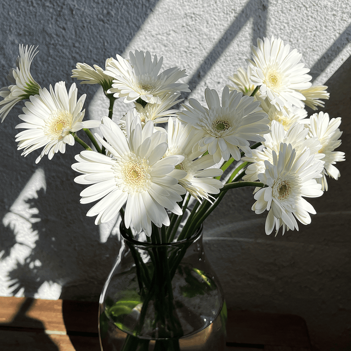 WEB EXCLUSIVE | Buyer's Whimsical Sale! Gerbera Bouquet (30 stems)