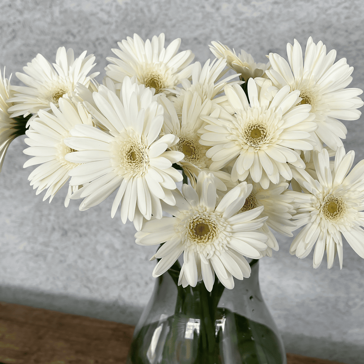 WEB EXCLUSIVE | Buyer's Whimsical Sale! Gerbera Bouquet (30 stems)