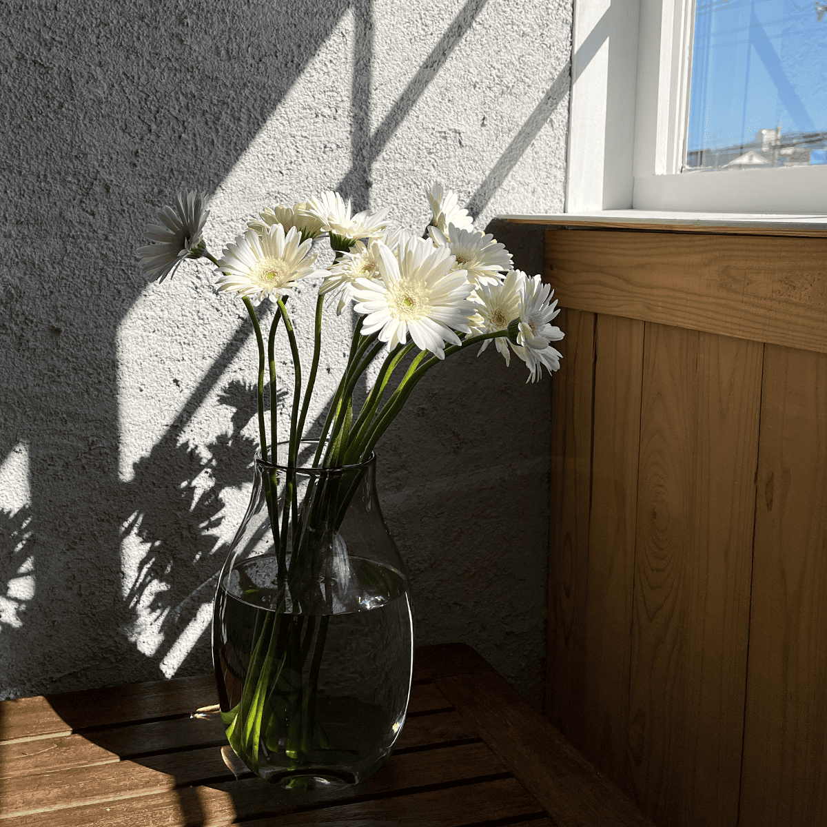 WEB EXCLUSIVE | Buyer's Whimsical Sale! Gerbera Bouquet (30 stems)
