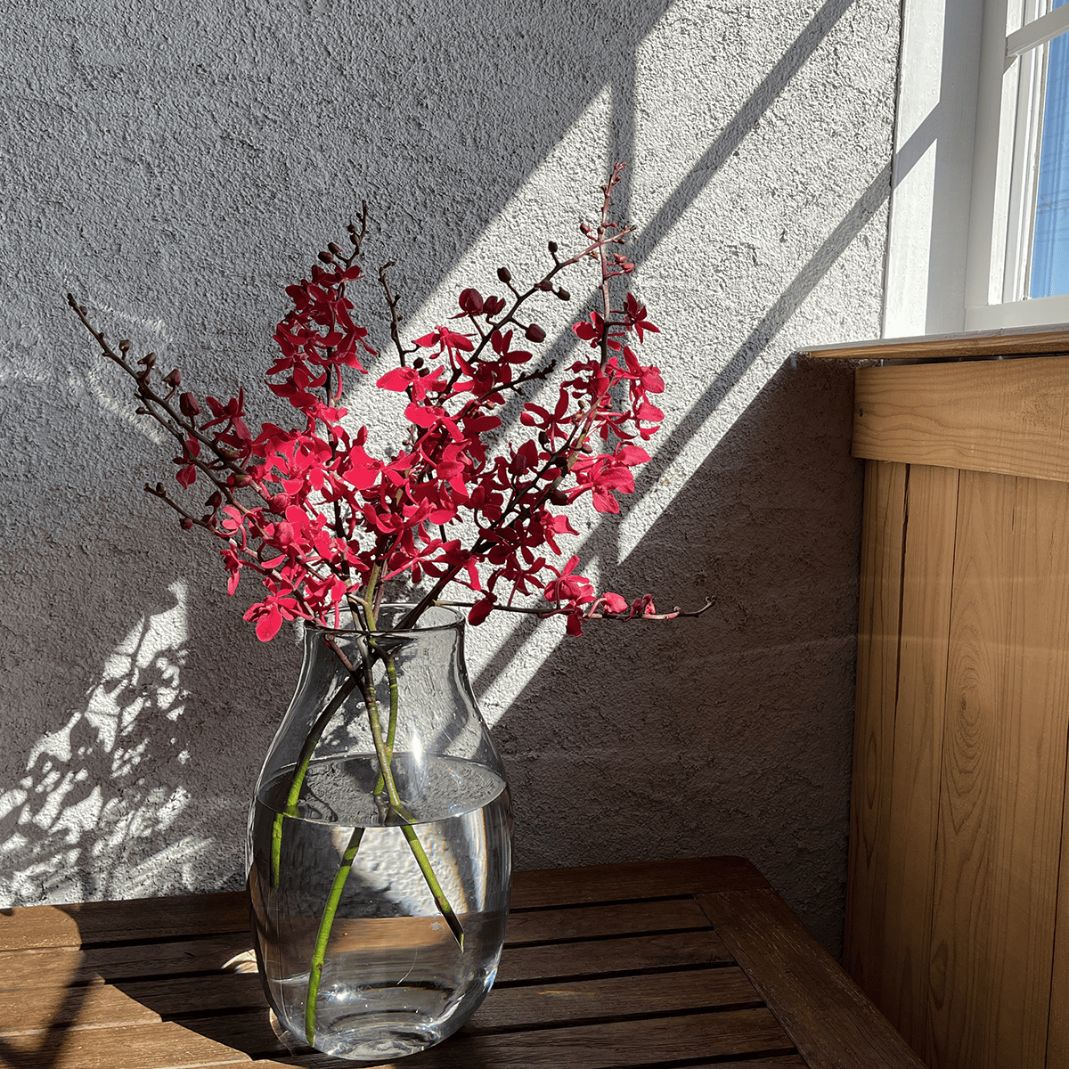 WEB EXCLUSIVE | Buyer's Whimsical Sale! Gerbera Bouquet (30 stems)