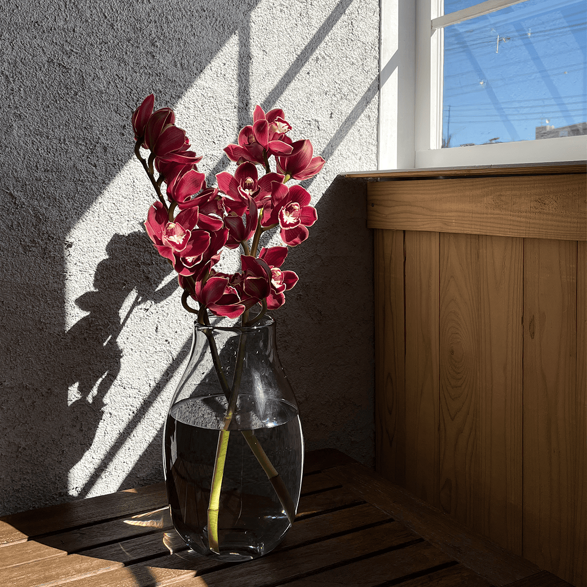 WEB EXCLUSIVE | Buyer's Whimsical Sale! Gerbera Bouquet (30 stems)