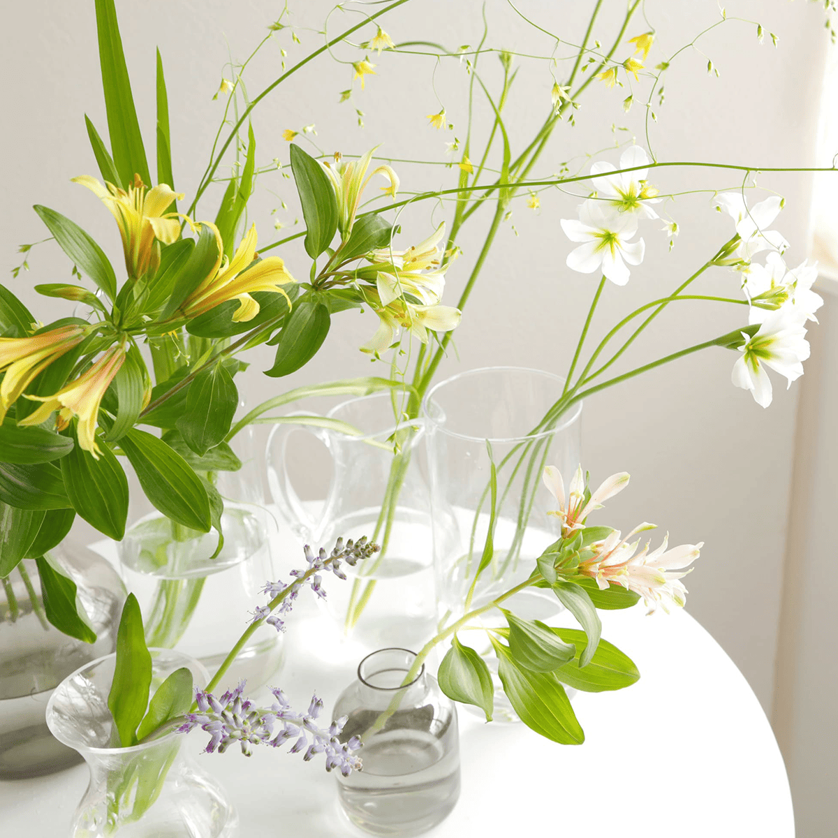 【季節のオーガニックフラワー】無農薬で栽培した季節のお花をお届けします《三宅花卉園さん》