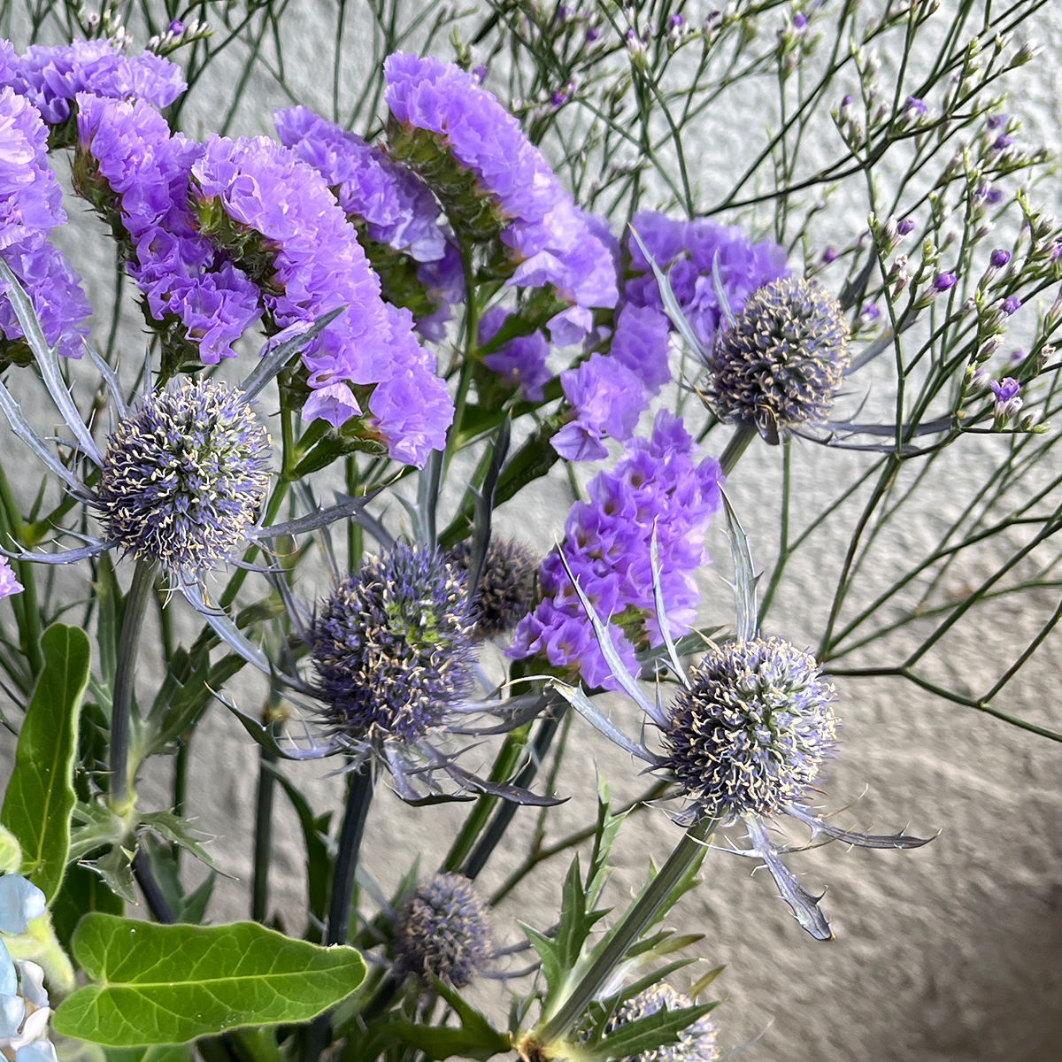 【タイムSALE】WEB限定| ブルーの花束