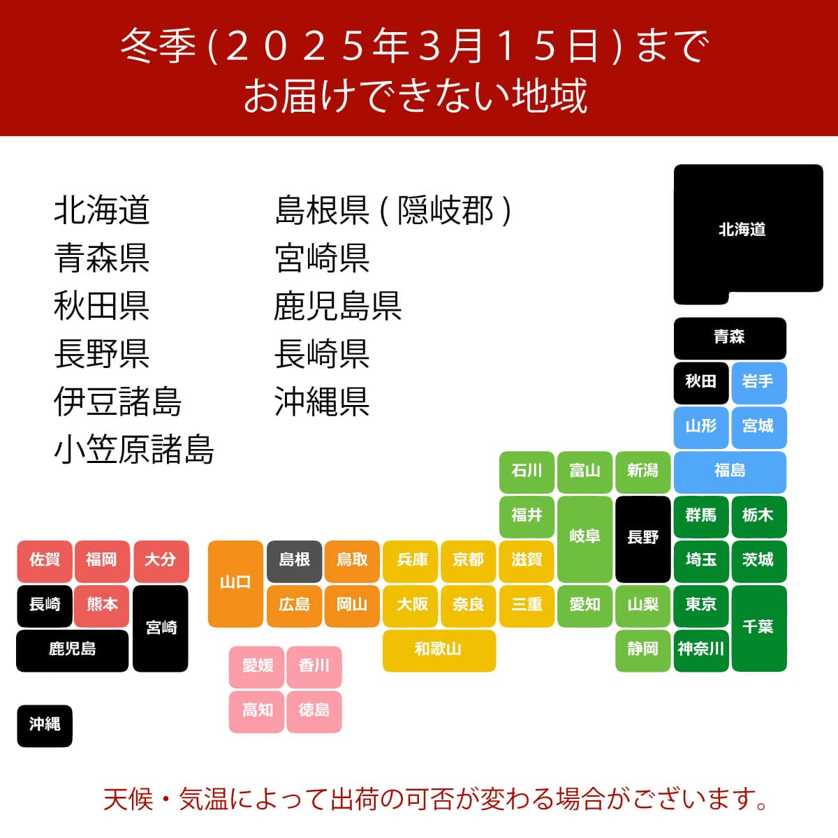 【오와와 후추 난초】WEB 한정|흰색 3개 서 36륜 전후