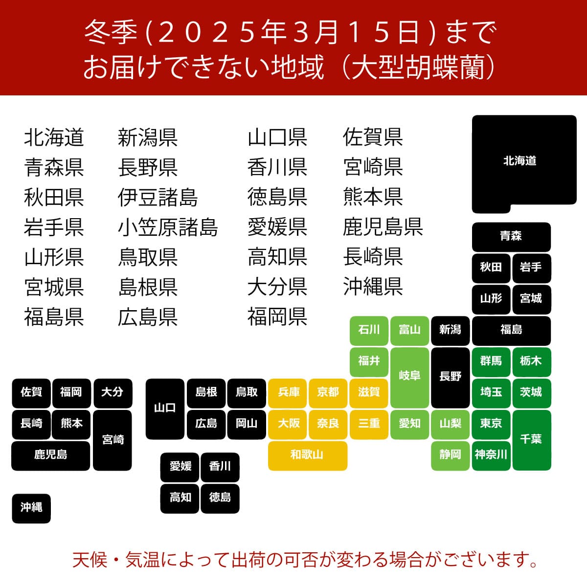 【오와와 후추 난초】WEB 한정|흰 5개 서 35륜 전후