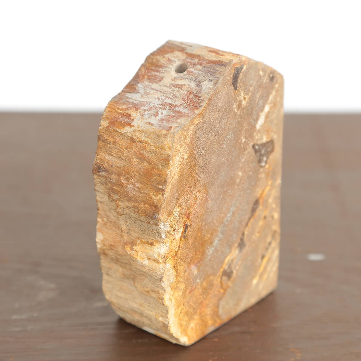 【珪化木】木の化石で出来た一輪挿し用フラワーベース《五角形》