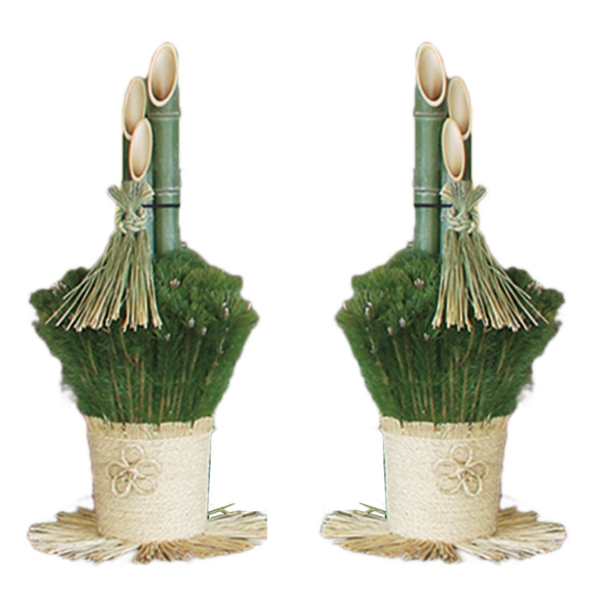 【몬마츠】칸토풍|2~8척(높이 약 60~240cm)《오사카 근교 한정》