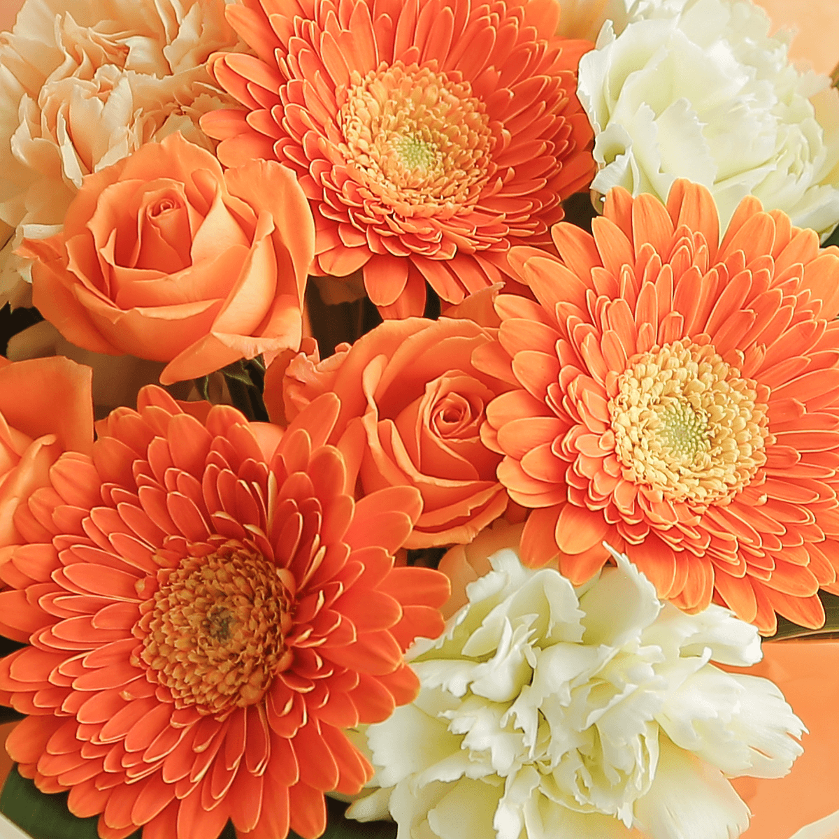 WEB限定｜そのまま飾れる花束｜スタンドブーケ「フレッシュオレンジ」