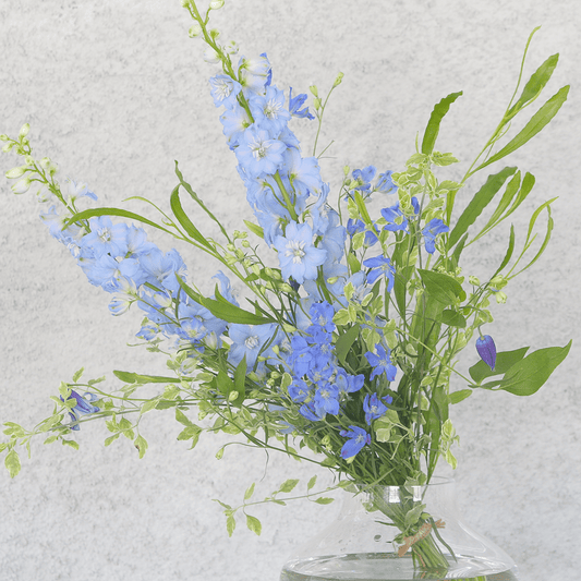 《期間限定》2024年【星座で贈るバースデーブーケ/てんびん座/Sサイズ】アストロロジー・ライター Sayaさん監修