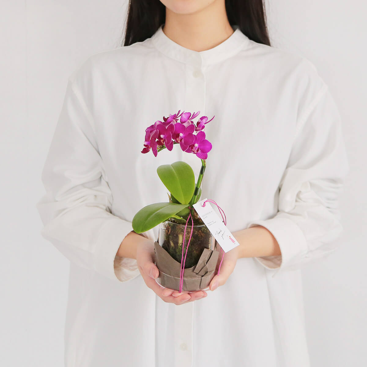 【母の日のプレゼント】《そのまま飾れる！》紫色の花のミディ胡蝶蘭 鉢物/鉢花 花屋の通販 贈り物 フラワーギフト 大阪の花屋09