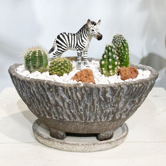 【サボテン】アニマル寄植え|観葉植物