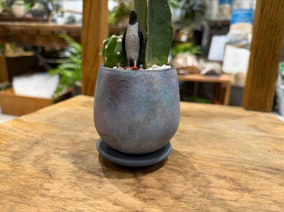 [Cactus] Animal Planting, Small Size | Houseplant