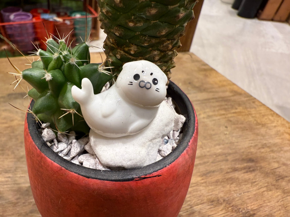 [Cactus] Animal Planting, Small Size | Houseplant