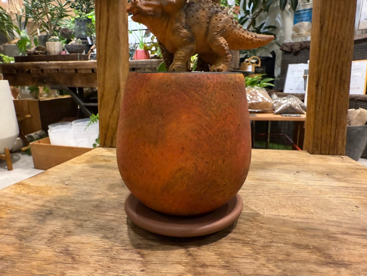 [Cactus] Animal Planting, Medium Size | Houseplant