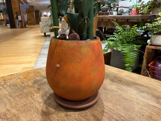 【サボテン】アニマル寄植えLサイズ|観葉植物