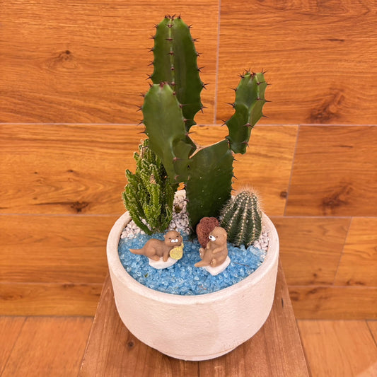 【SALE】アニマル寄植えサボテンA|観葉植物