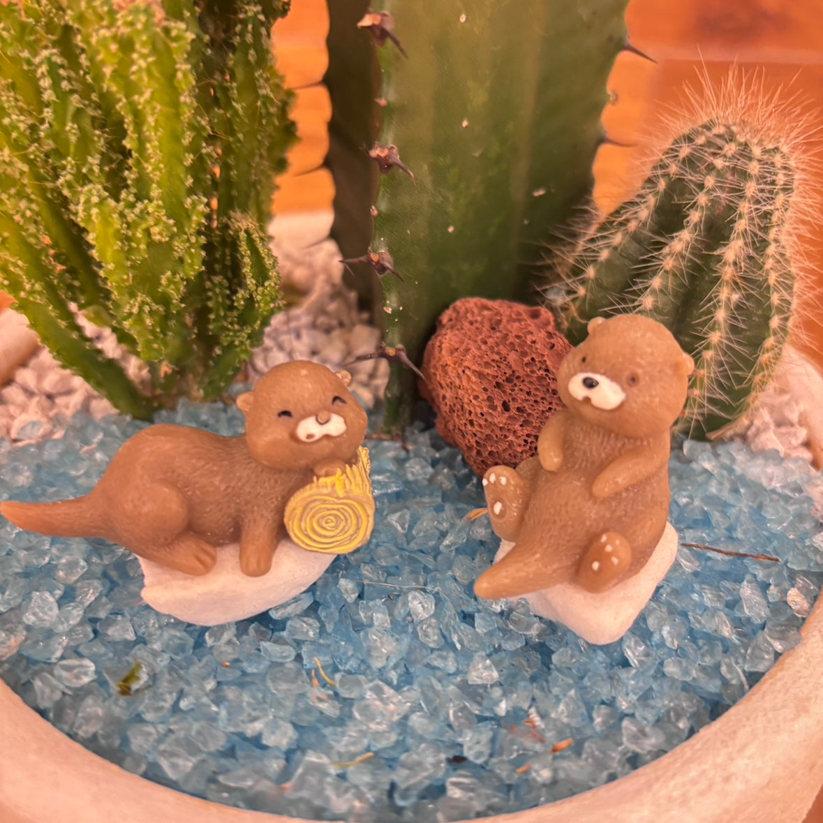 【SALE】アニマル寄植えサボテンＡ｜観葉植物
