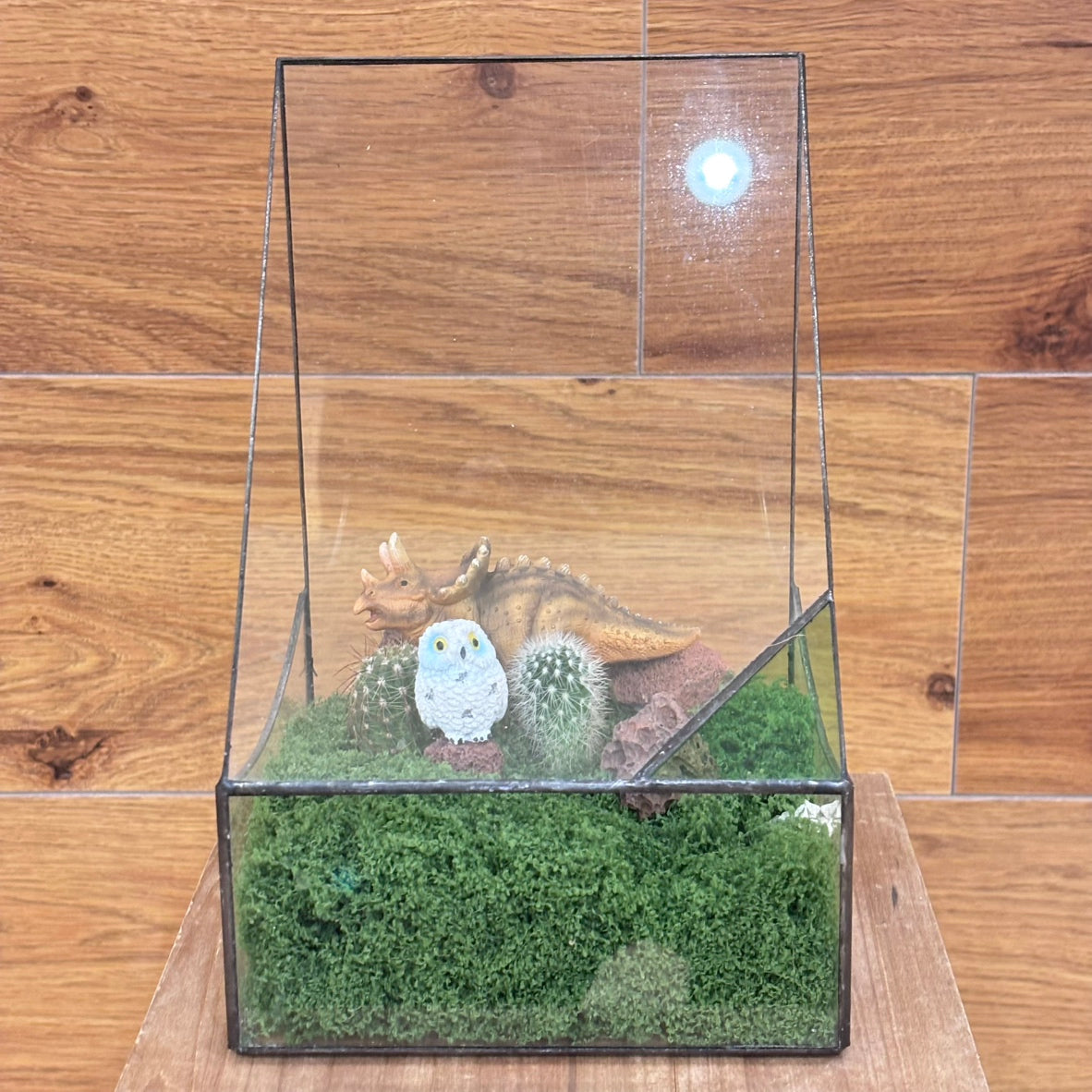 【SALE】アニマル寄植えサボテンB｜観葉植物