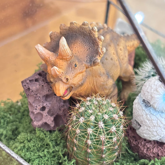 【SALE】アニマル寄植えサボテンB｜観葉植物