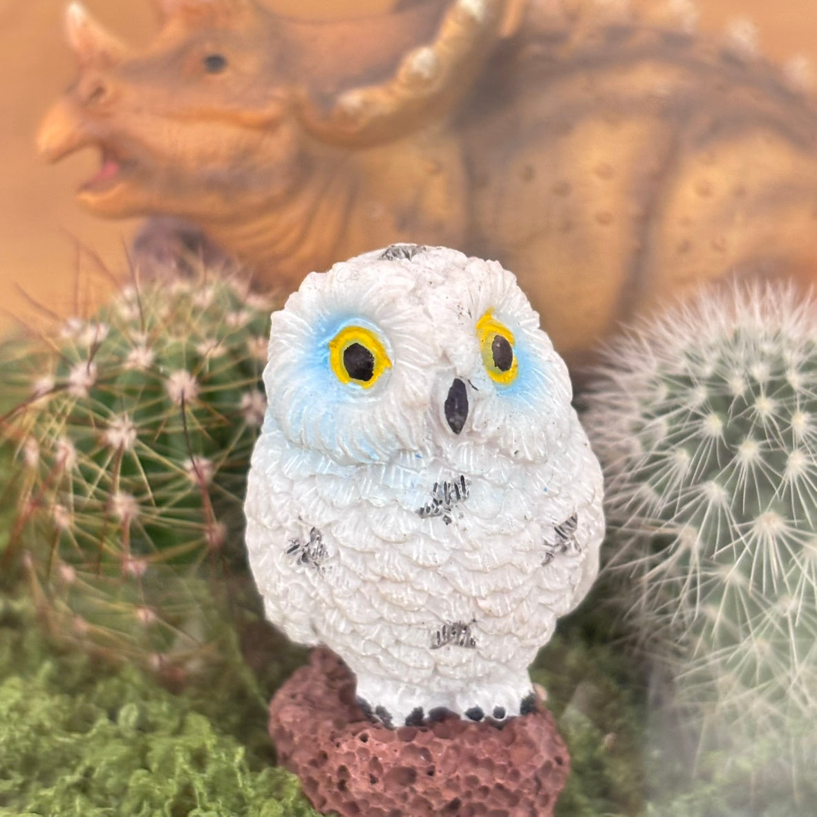 【SALE】アニマル寄植えサボテンB｜観葉植物