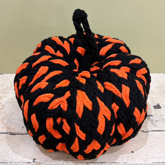 Pachira Milkyway - Pot cover included | Houseplant