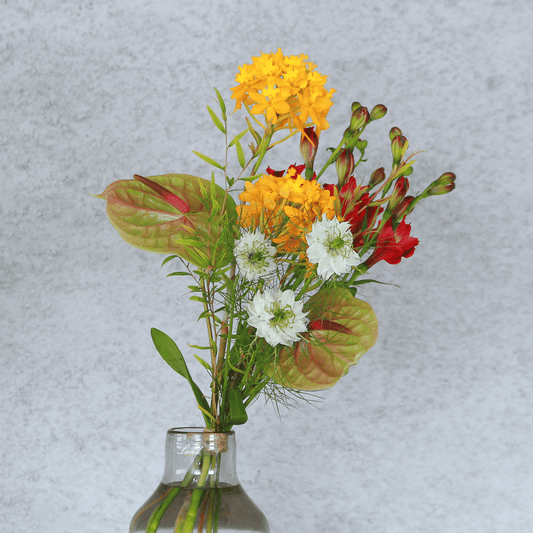 《期間限定》2025年【星座で贈るバースデーブーケ/おひつじ座/Sサイズ】アストロロジー・ライター Sayaさん監修