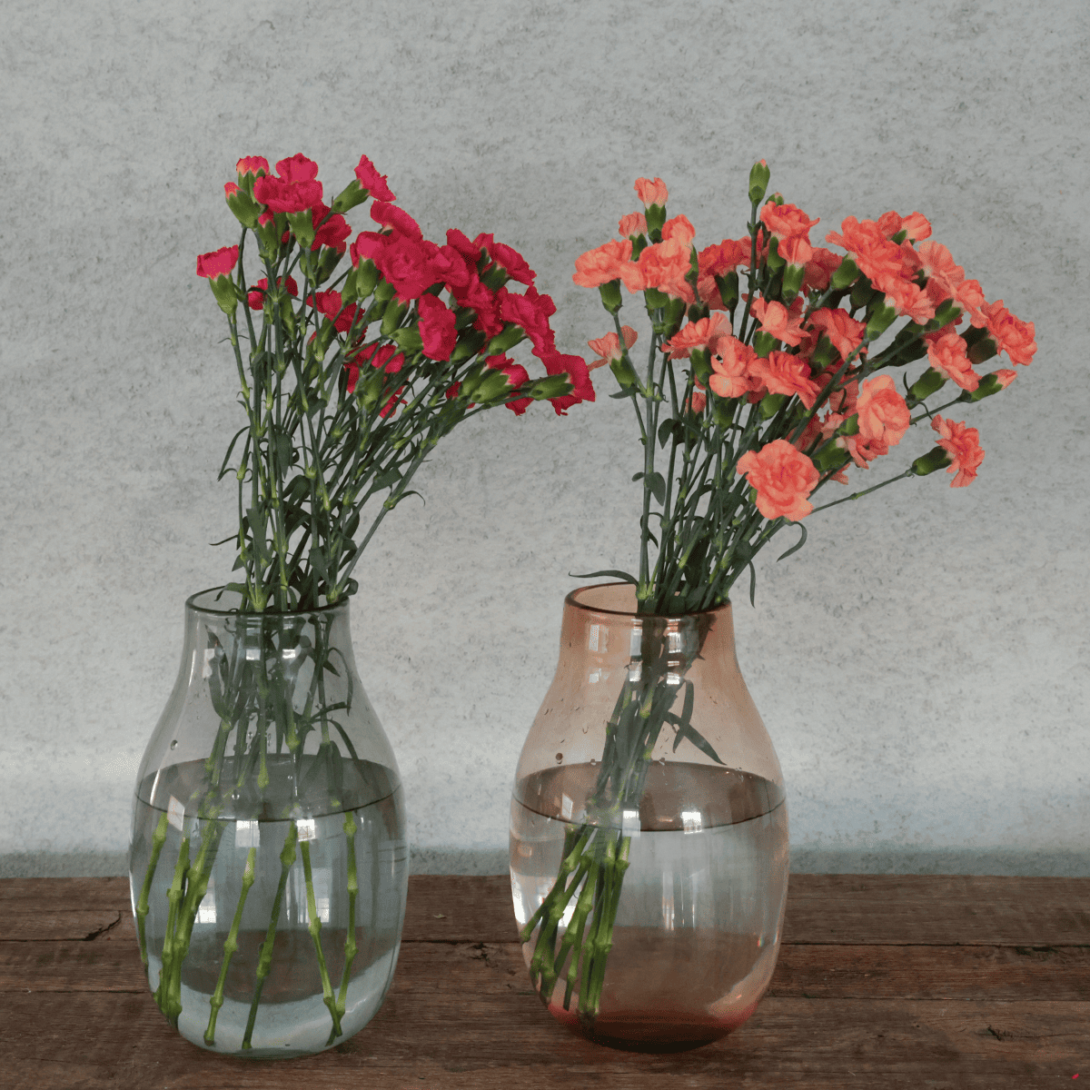 WEB限定｜バイヤーの気まぐれセール！スプレーカーネーションの花束 (２０本)