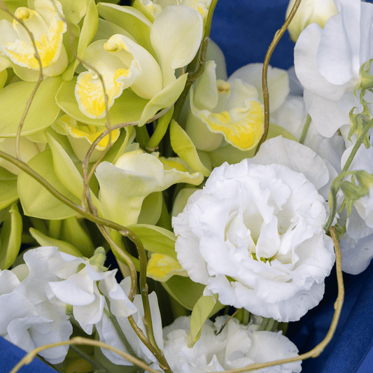 《期間限定》2025年【星座で贈るバースデーブーケ／やぎ座】アストロロジー・ライター Sayaさん監修