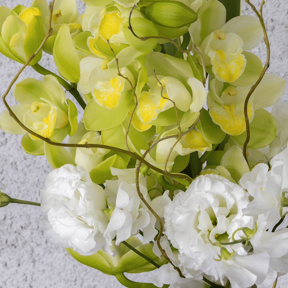 《期間限定》2025年【星座で贈るバースデーブーケ／やぎ座】アストロロジー・ライター Sayaさん監修