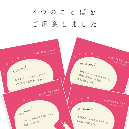 【母の日のプレゼント】鉢物 カーネーション ピンク色（5号）