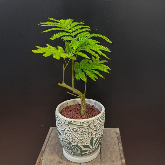 【エバーフレッシュ】観葉植物(陶器鉢付き)