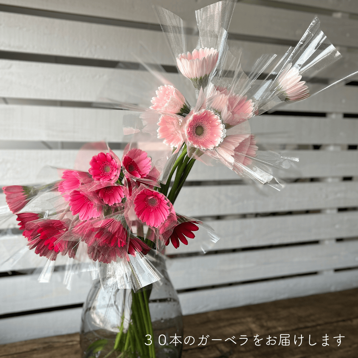 WEB限定｜バイヤーの気まぐれセール！ガーベラの花束 (30本)