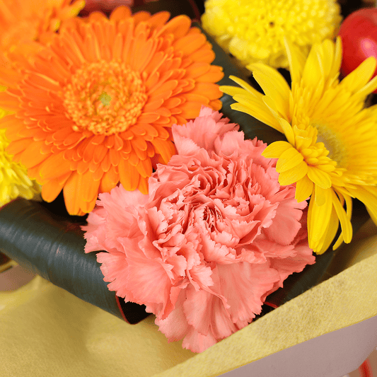 【오봉의 제공·불꽃】WEB 한정|어레인지먼트 “풍제”(핑크)